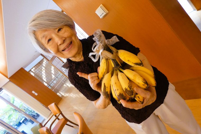 黄色く熟れたバナナ。食べごろを迎えました♪